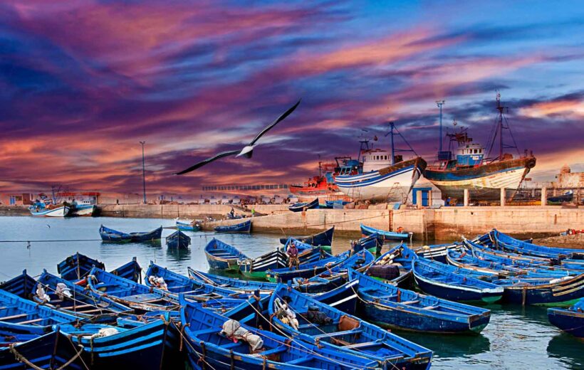 Essaouira Guided Day Trip