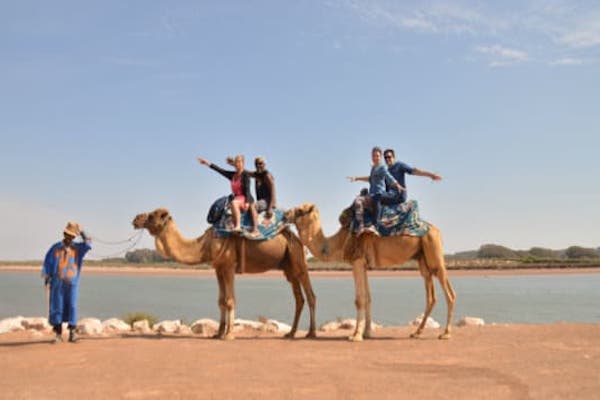 Camel Ride in Agadir